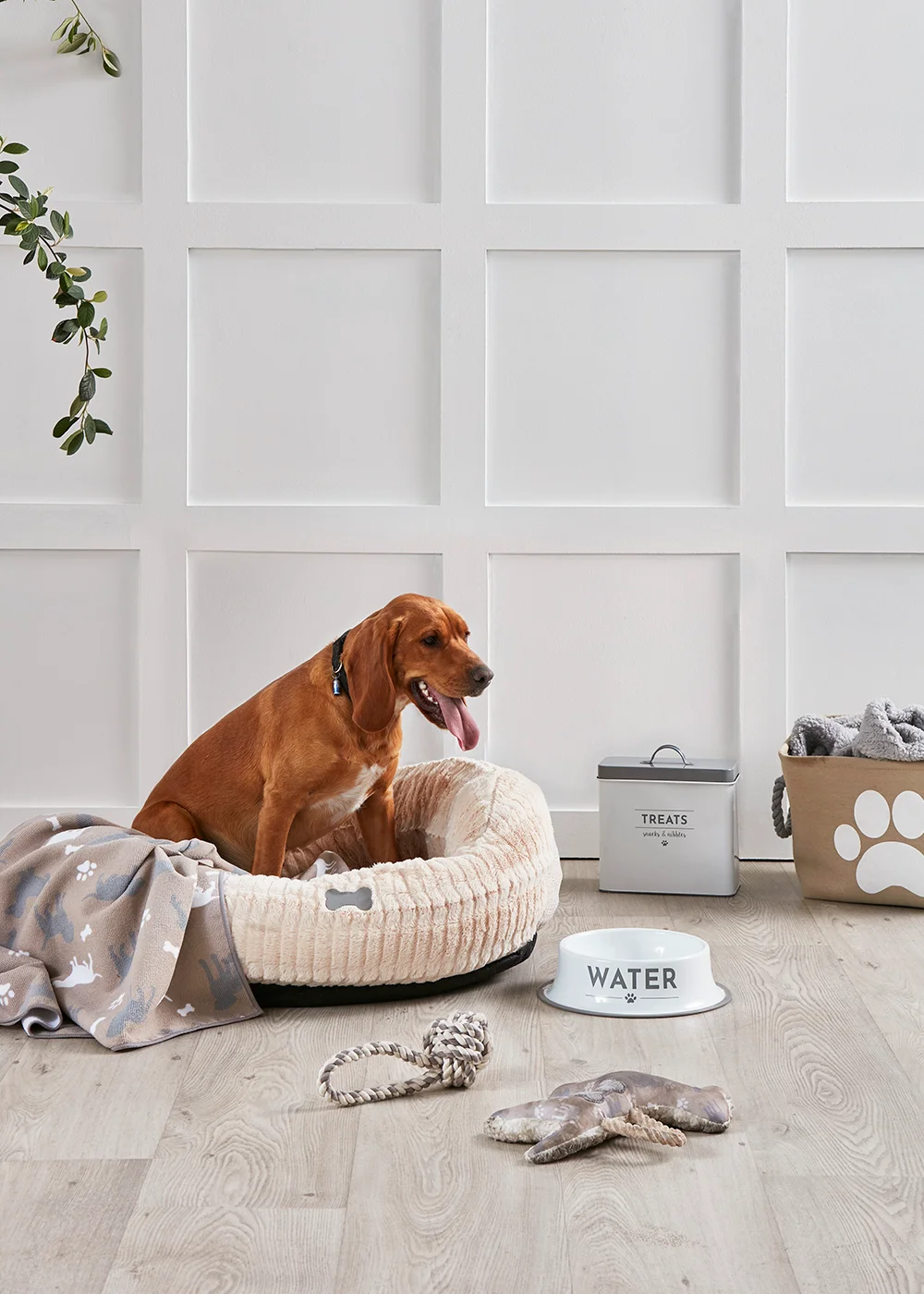 Natural Print Dog Toy (25cm x 20cm x 5cm) Image 2