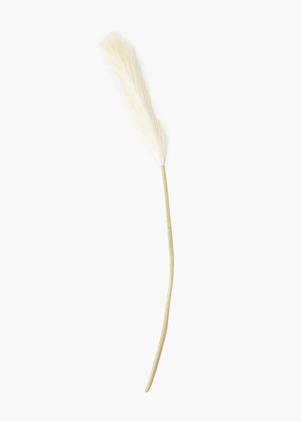 Cream Pampas Grass Single Stem Image 1