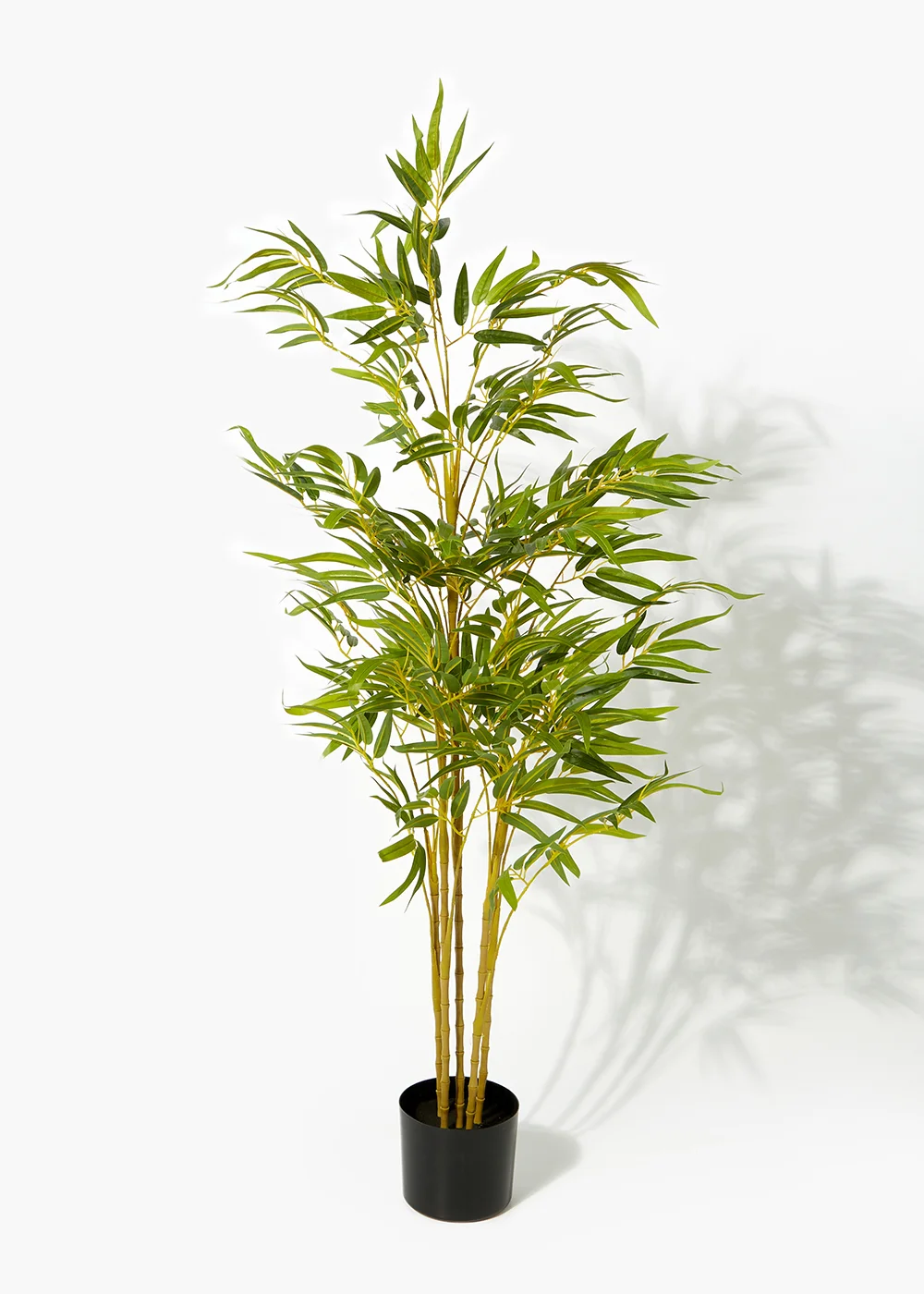Bamboo Tree in Round Pot Image 1