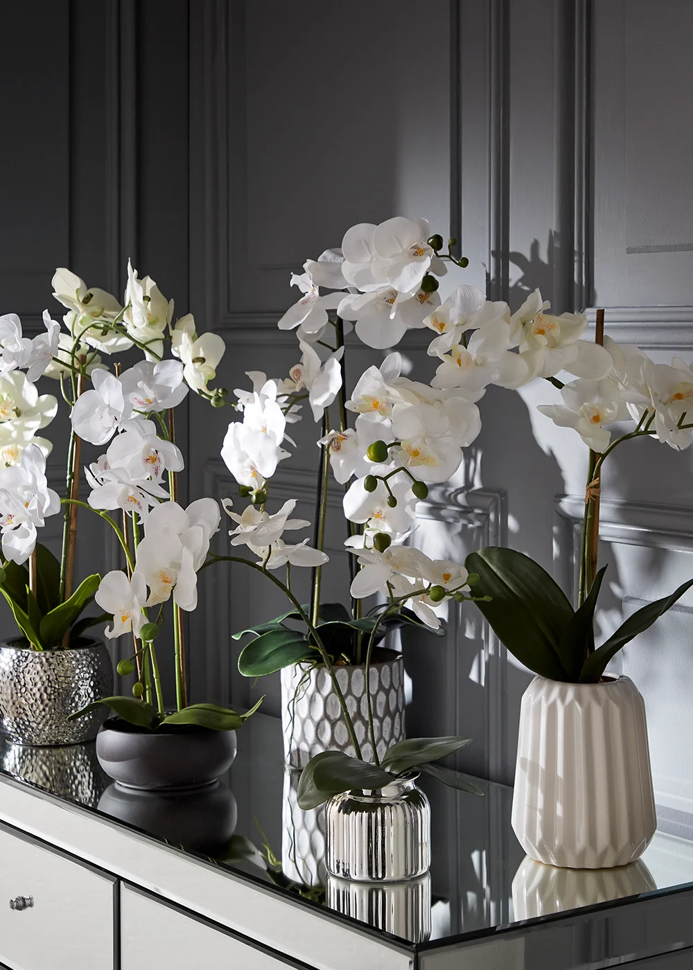 Orchid in White Ceramic Pot (60cm) Image 2