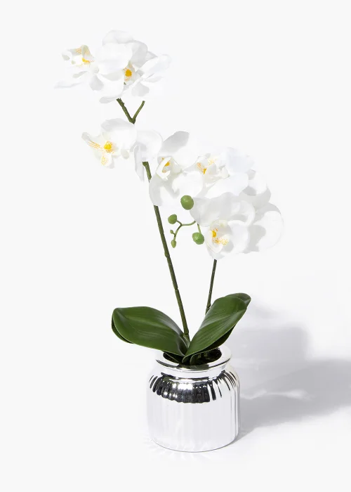 Mini Orchid in Silver Pot (40cm) Image 1