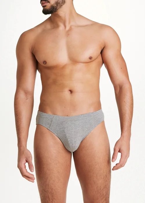 4 Pack Briefs - S Image 2
