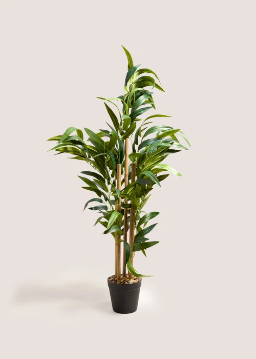 Bamboo Tree Image 1