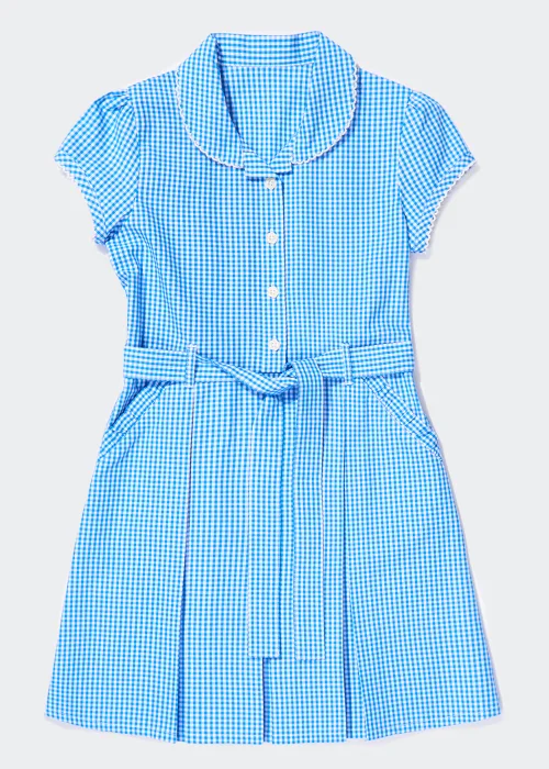 Girls Blue Gingham Belted School Dress (3-14yrs) - Age 3 Years Image 1