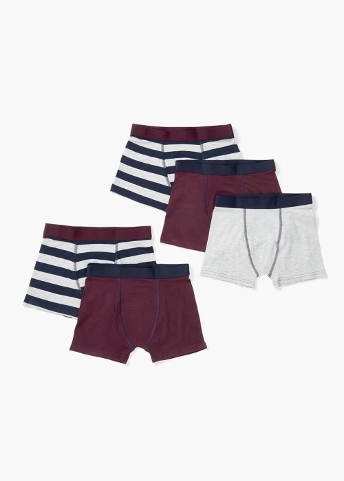Boys 5 Pack Stripe Trunks (4-16yrs) - 4-5 Yrs Image 1