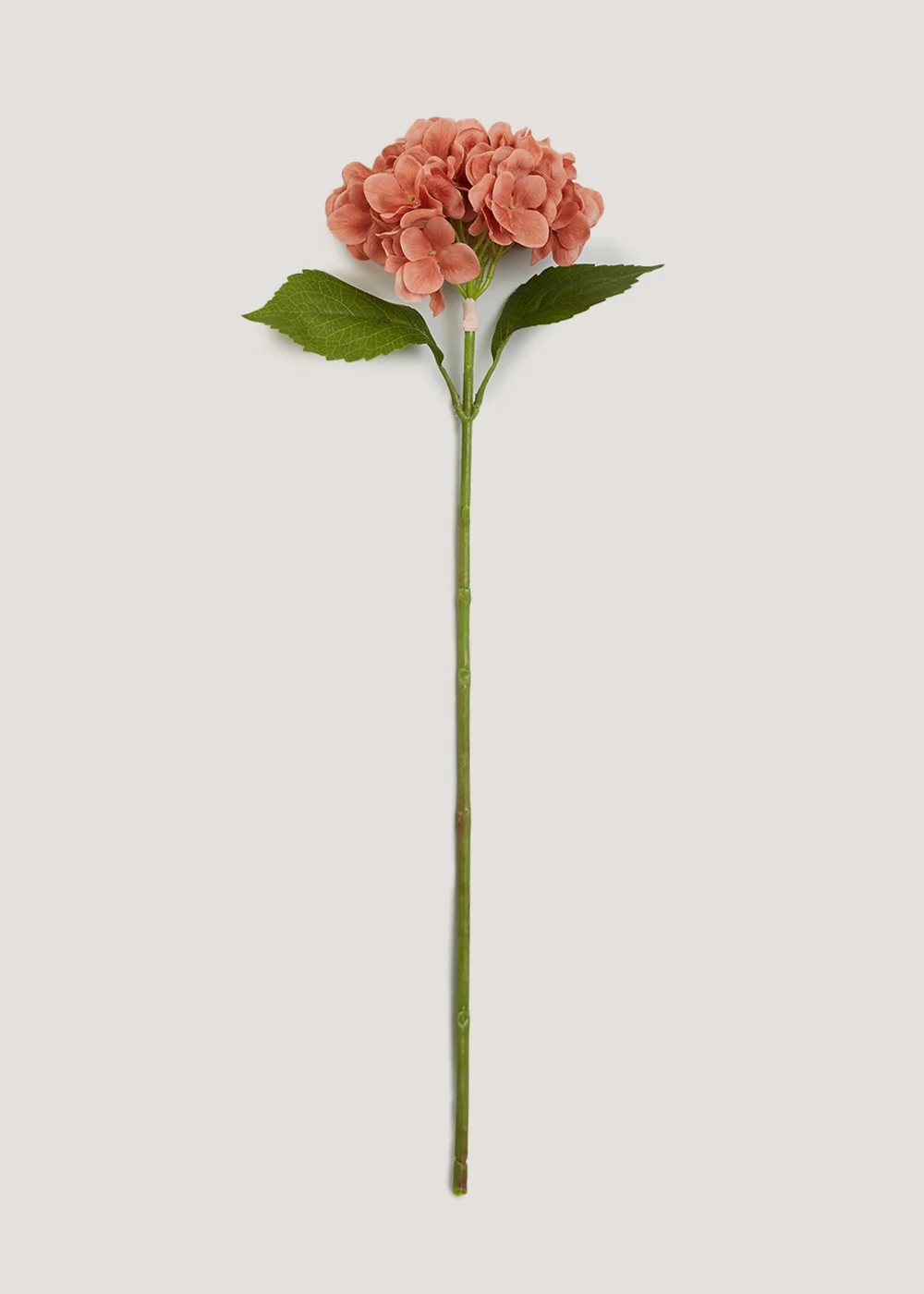 Orange Hydrangea Single Stem (85cm) Image 1