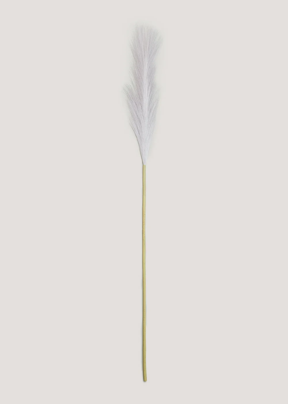 Grey Pampas Grass Single Stem (85cm) Image 1