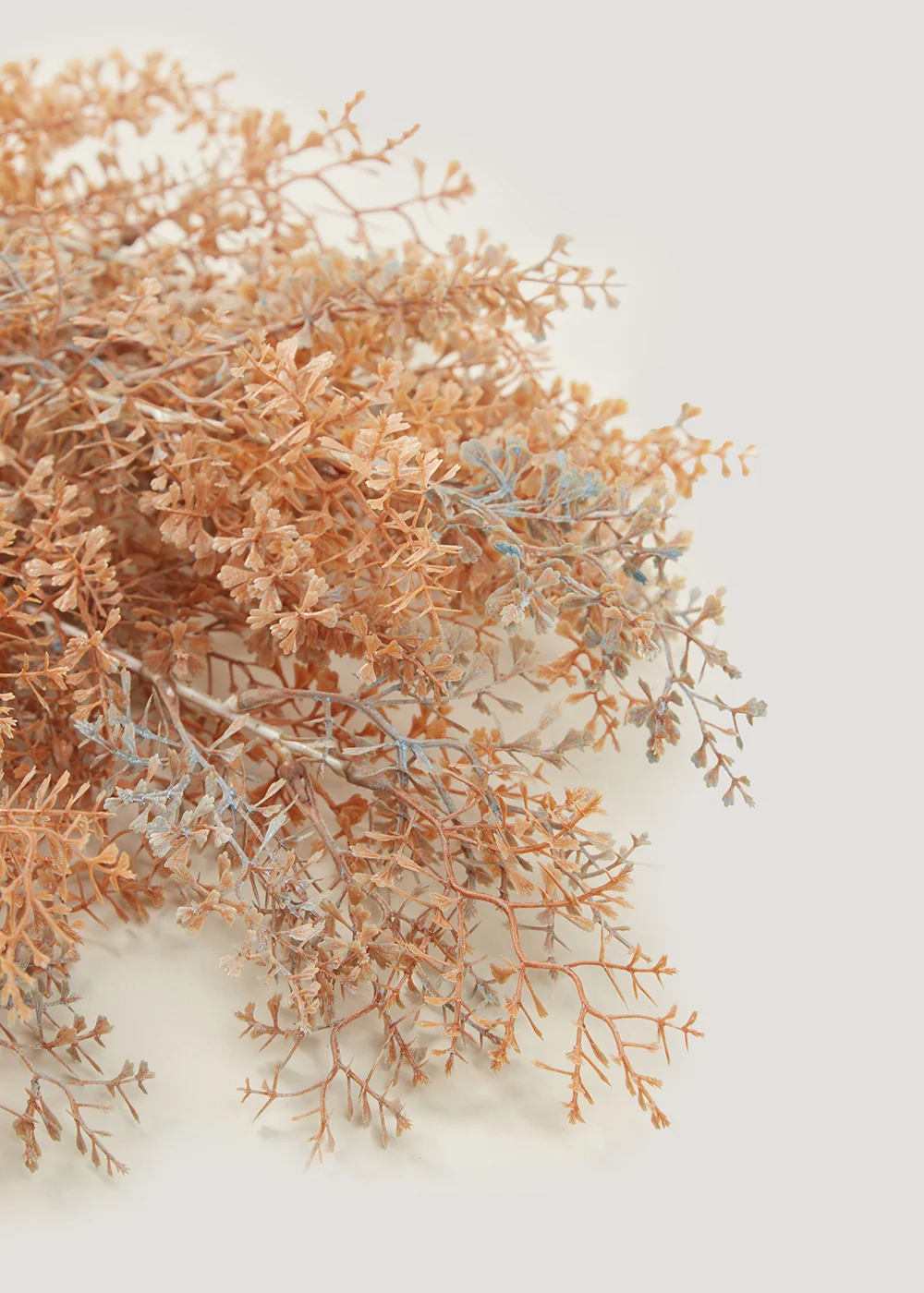 Orange Ruscus Single Stem (70cm) Image 2