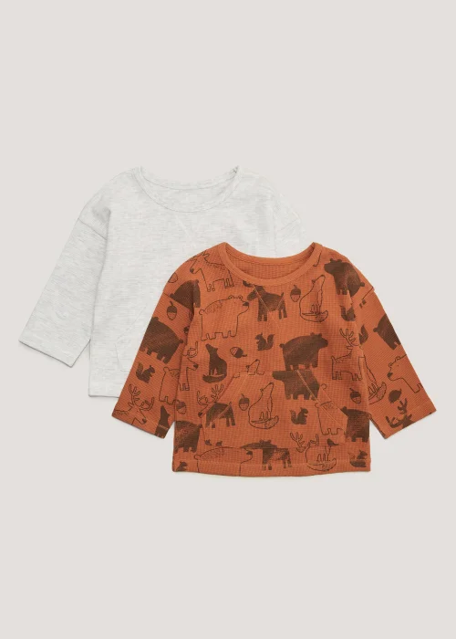 Boys 2 Pack Plain & Wild Animal Long Sleeve T-Shirts (9mths-6yrs) - Age 9 - 12 Months Image 1