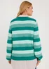 Green Stripe Jumper - S Image 4