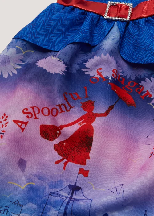 Kids Mary Poppins Fancy Dress Costume (3-9yrs) - Age 3 Years Image 2