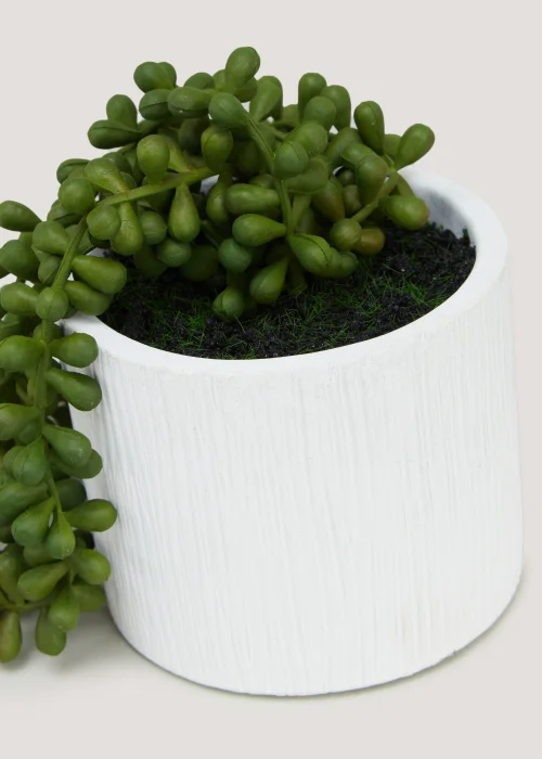 Trailing Plant in Cement Pot (37cm x 13cm x 13cm) Image 2