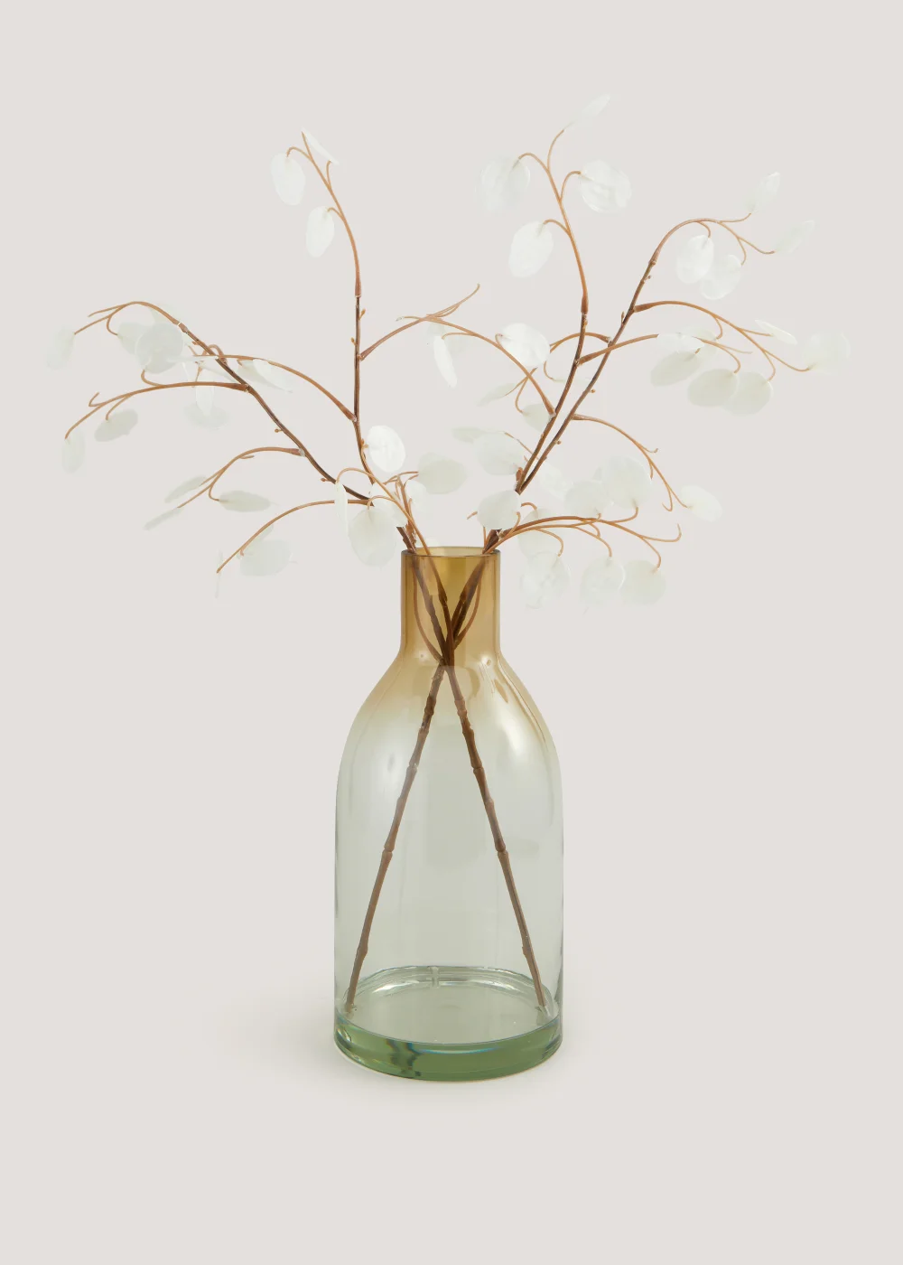 Honesty in Glass Vase (14cm x 14cm x 65cm) Image 1