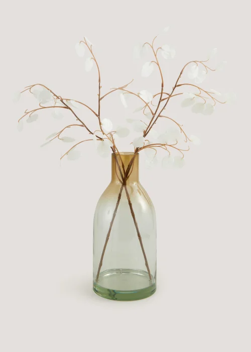 Honesty in Glass Vase (14cm x 14cm x 65cm) Image 1