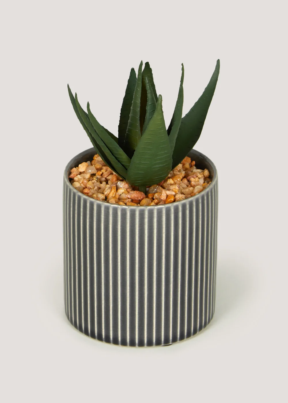 Mini Aloe in Grey Pot Image 1