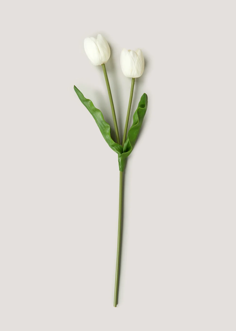 White Tulip Single Stem (66cm) Image 1