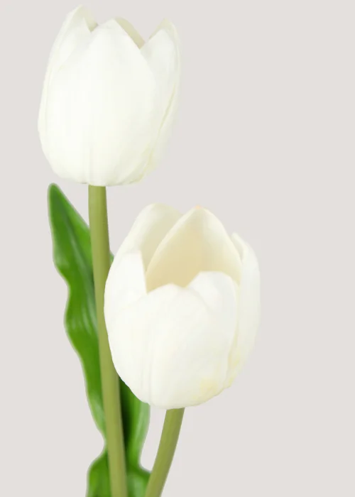 White Tulip Single Stem (66cm) Image 2
