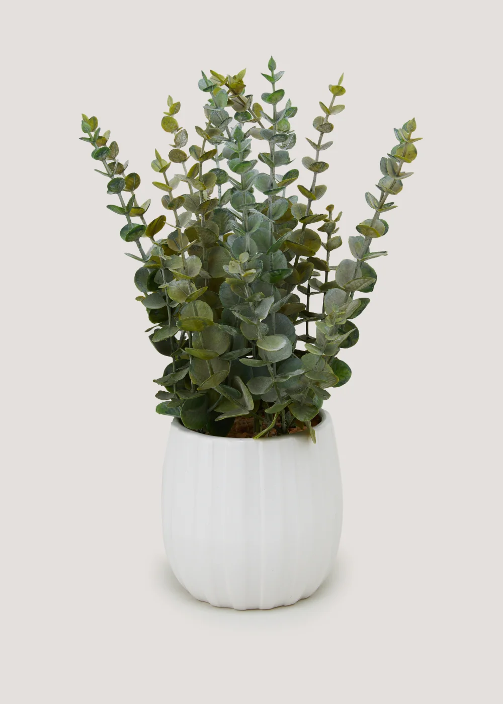 Eucalyptus White Ribbed Pot Image 1