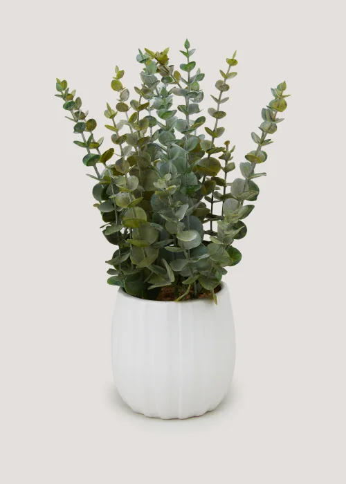 Eucalyptus White Ribbed Pot Image 1