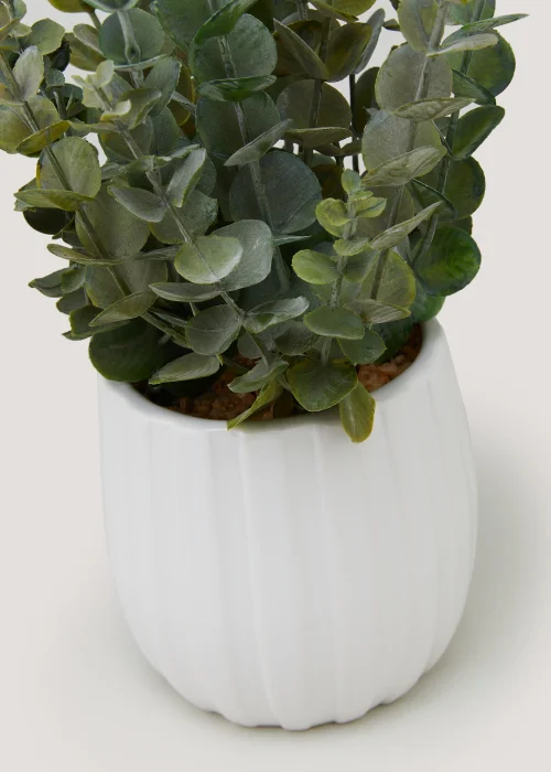 Eucalyptus White Ribbed Pot Image 2