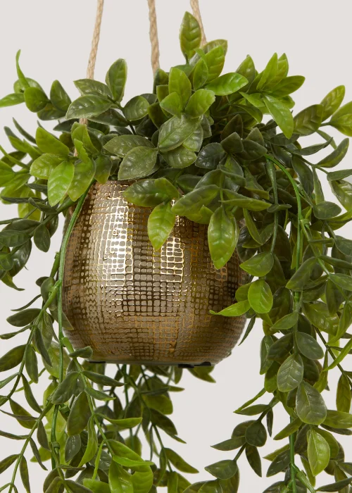 Hanging Trailing Plant in Gold Pot Image 2