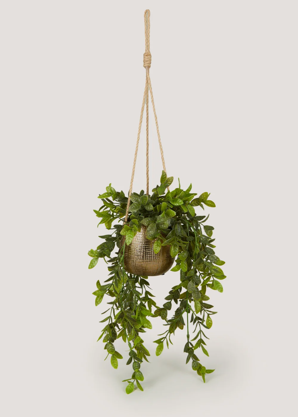 Hanging Trailing Plant in Gold Pot Image 1