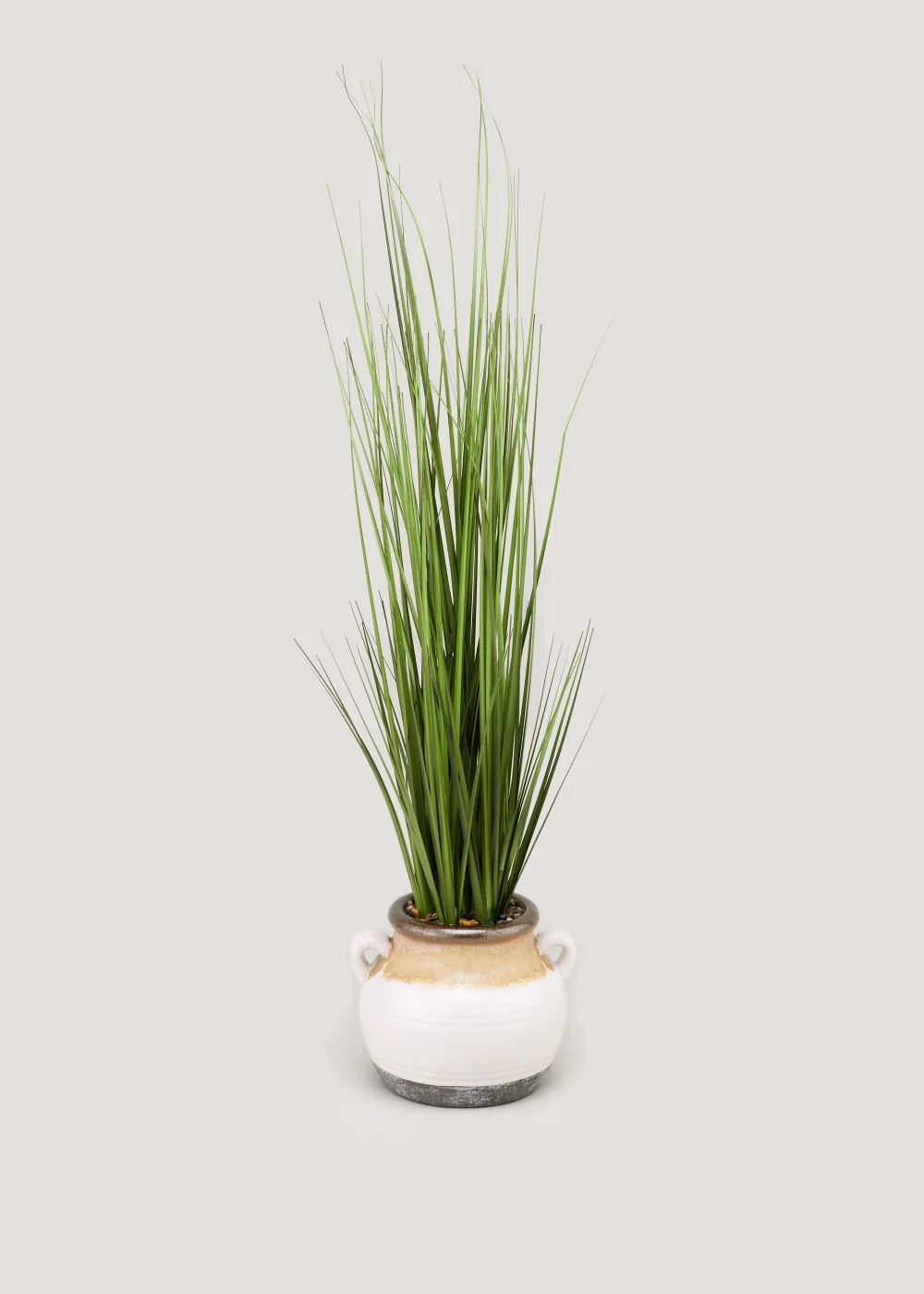 Grass in Reactive Pot (90cm x 24cm x 24cm) Image 1