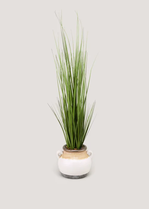 Grass in Reactive Pot (90cm x 24cm x 24cm) Image 1
