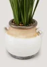 Grass in Reactive Pot (90cm x 24cm x 24cm) Image 2