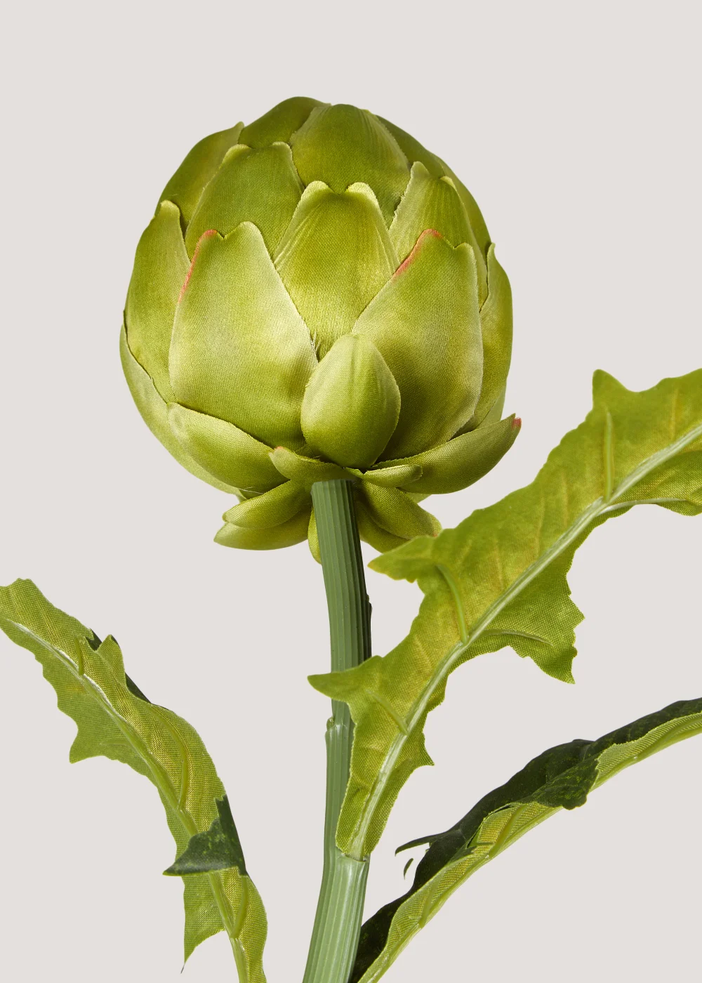 Artichoke Single Stem (67cm) Image 2