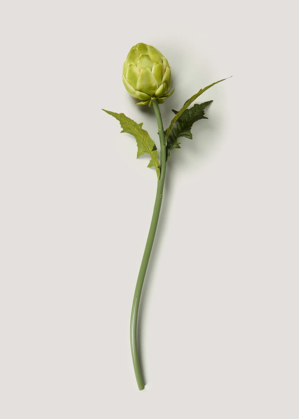 Artichoke Single Stem (67cm) Image 1