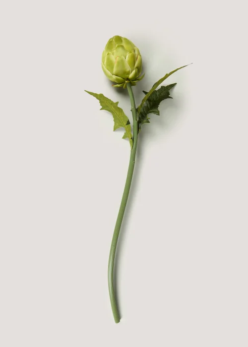 Artichoke Single Stem (67cm) Image 1