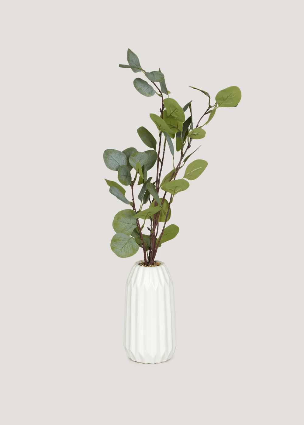 Leafy Plant in White Ribbed Pot (58cm x 9.5cm) Image 1