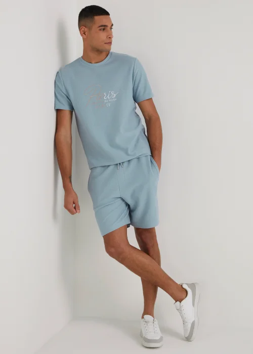 T&W Blue Paris Textured Shorts - S Image 3