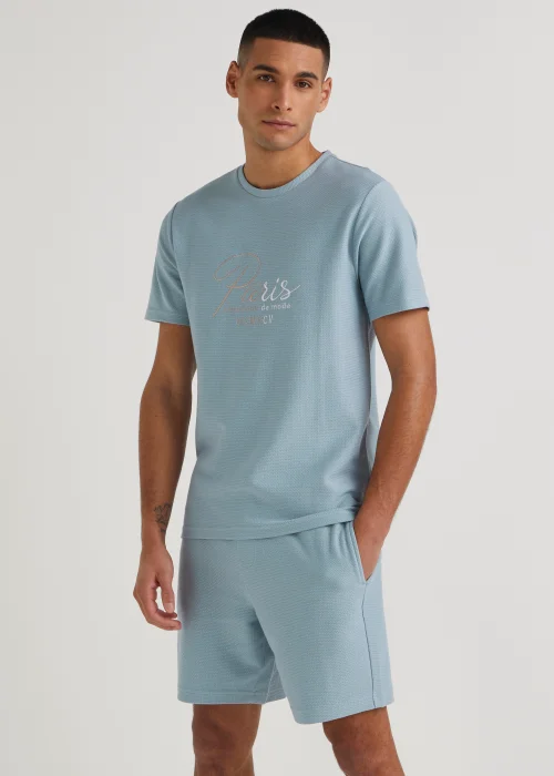 T&W Blue Paris Textured Shorts - S Image 1