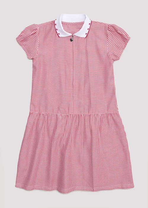Girls Red Generous Fit Knitted Collar Gingham School Dress (3-14yrs) - 3 Yrs Image 1