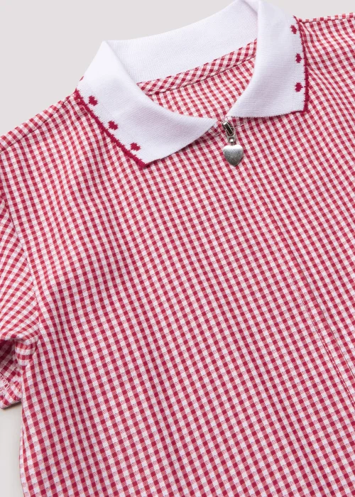 Girls Red Generous Fit Knitted Collar Gingham School Dress (3-14yrs) - 3 Yrs Image 2