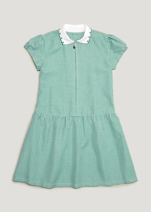 Girls Green Generous Fit Knitted Collar Gingham School Dress (3-14yrs) - 3 Yrs Image 1