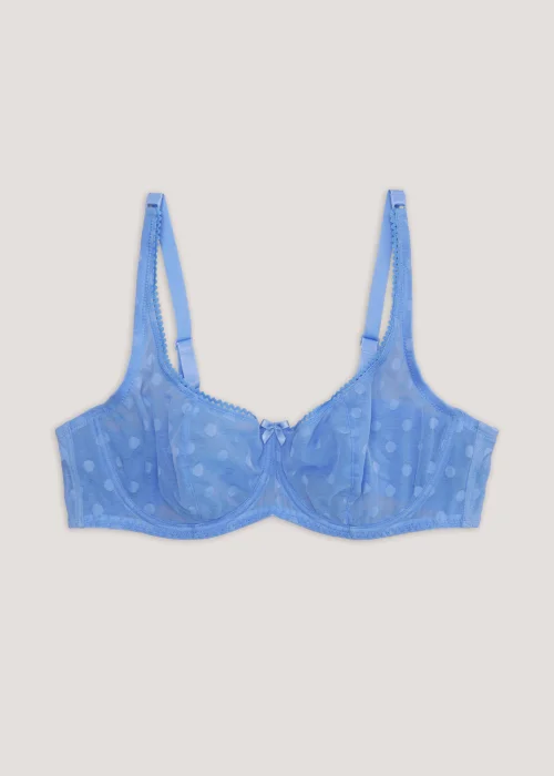 Ivory Rose Blue Dot Sweetheart Bra - 42F Image 4
