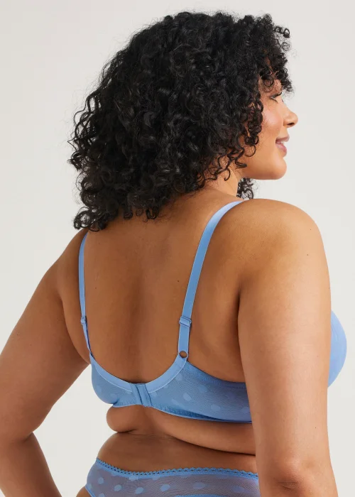 Ivory Rose Blue Dot Sweetheart Bra - 42F Image 2