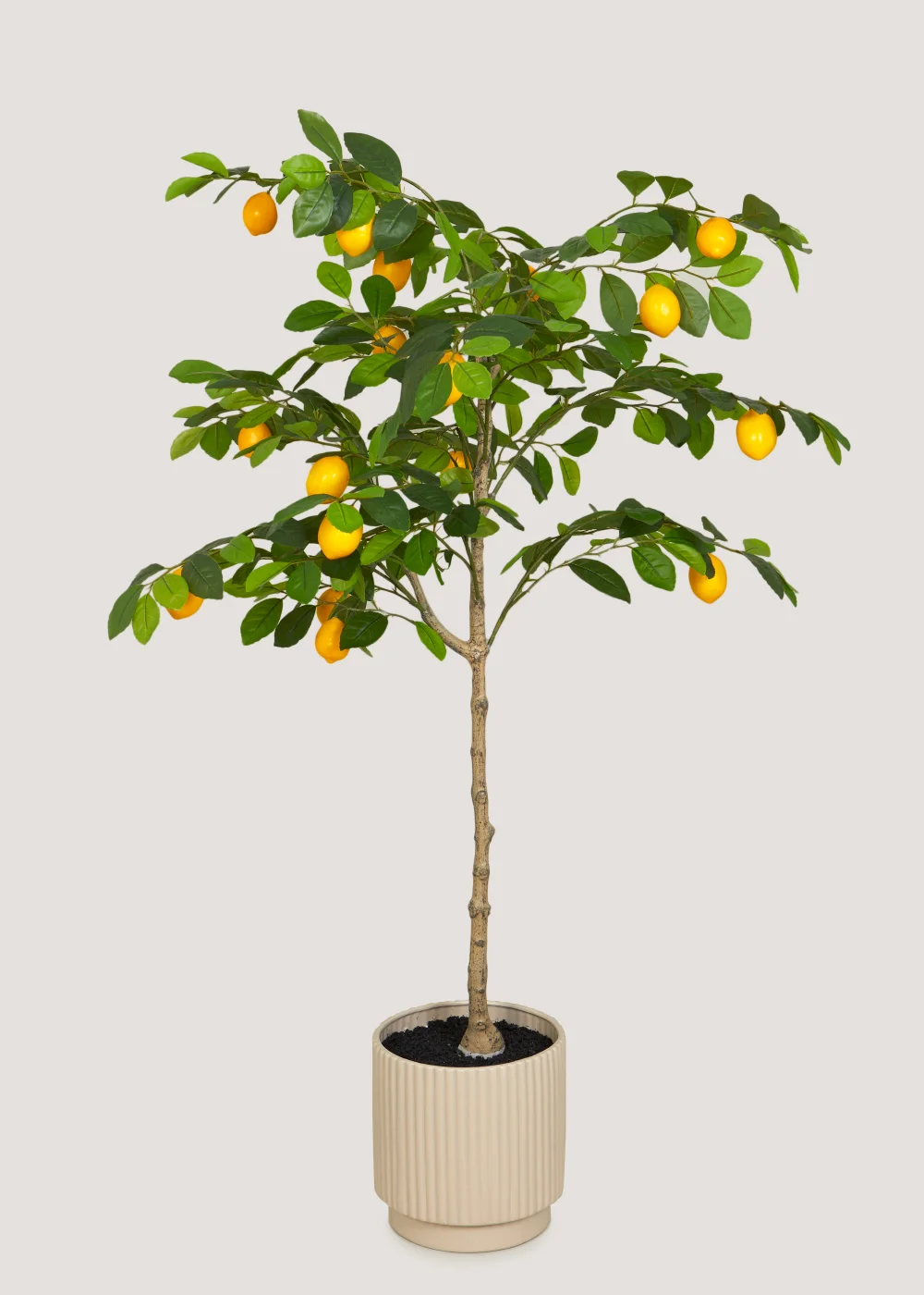 Lemon Tree Outdoor Topiary (120cm) Image 1