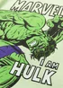 Kids Green Marvel I Am Hulk T-Shirt (2-9yrs) - 2-3 Yrs Image 2