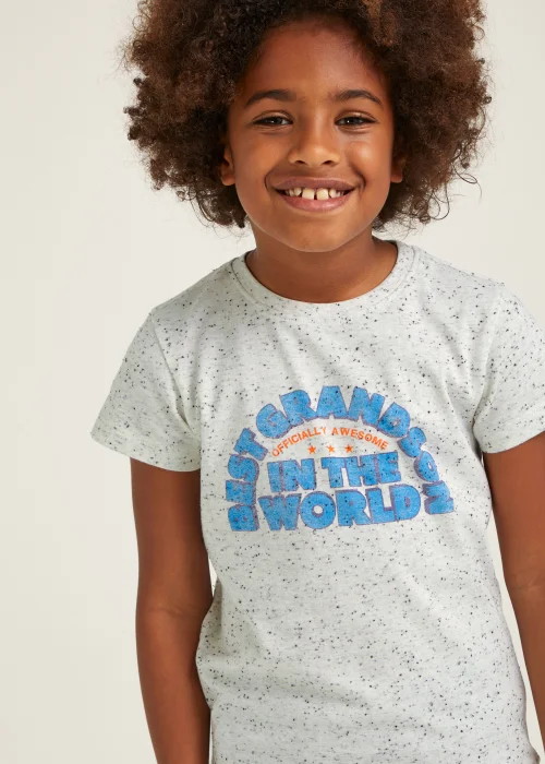 Boys Mini Me Ecru The Best Grandson T-Shirt (9mths-6yrs) - Age 9 - 12 Months Image 3