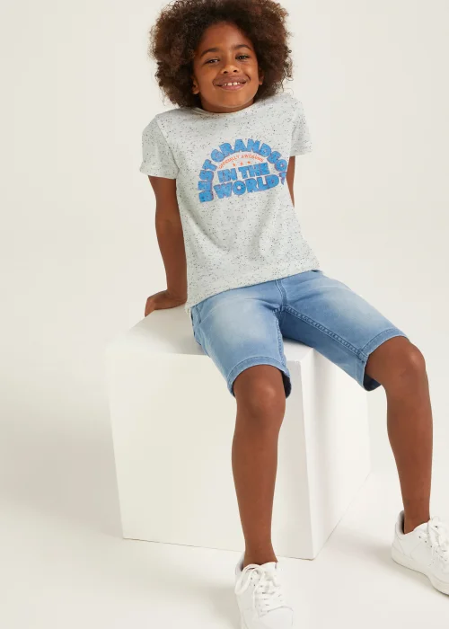 Boys Mini Me Ecru The Best Grandson T-Shirt (9mths-6yrs) - Age 9 - 12 Months Image 4