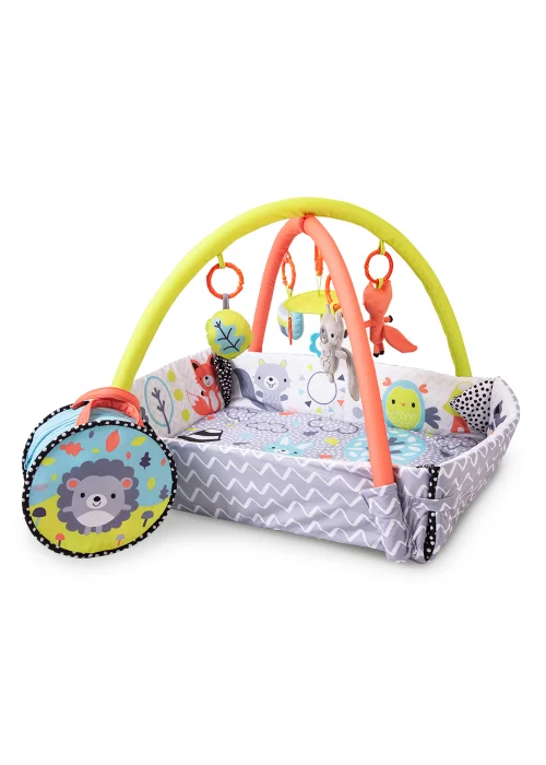 Red Kite Ball Gym Peppermint Trail 2-in-1 Play Gym (40cm x 56cm x 12.5cm) - One Size Image 1