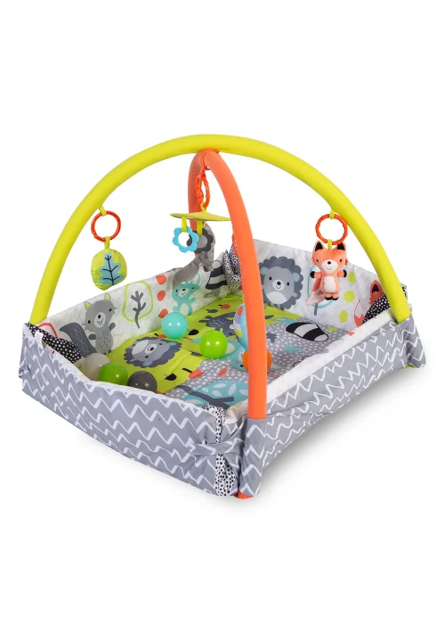 Red Kite Ball Gym Peppermint Trail 2-in-1 Play Gym (40cm x 56cm x 12.5cm) - One Size Image 2