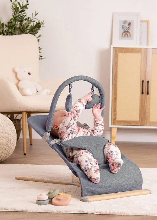 Red Kite Baya Baby Bouncer Dove Grey (58cm x 40cm x 68cm) - No Size Image 6