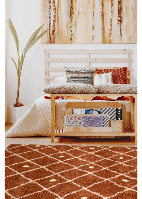 Homemaker Terracotta Snug Shaggy Diamond Rug - 120 x 170 Image 1