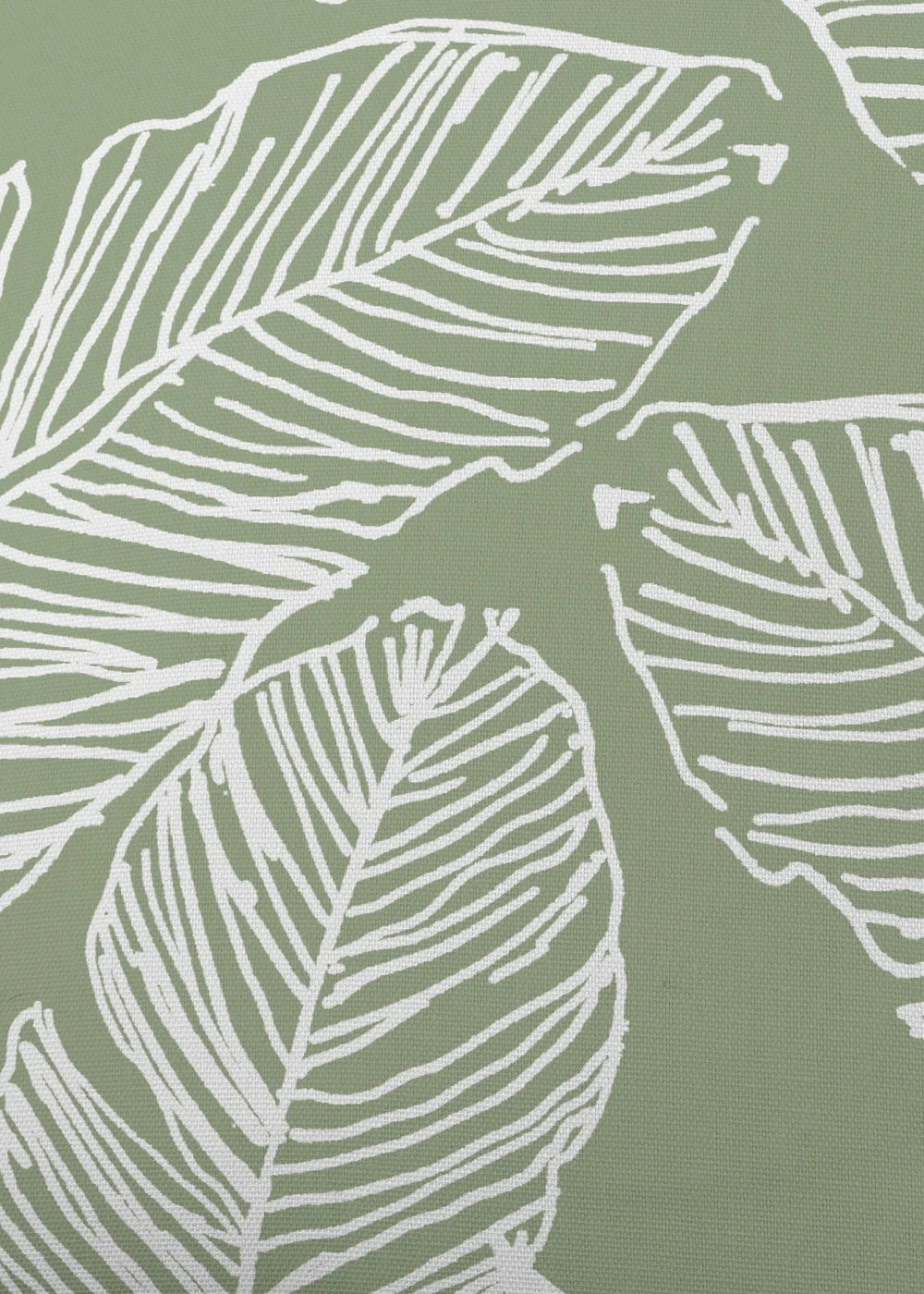 Fusion Matteo Green Filled Cushion (43cm x 43cm) - One Size Image 3
