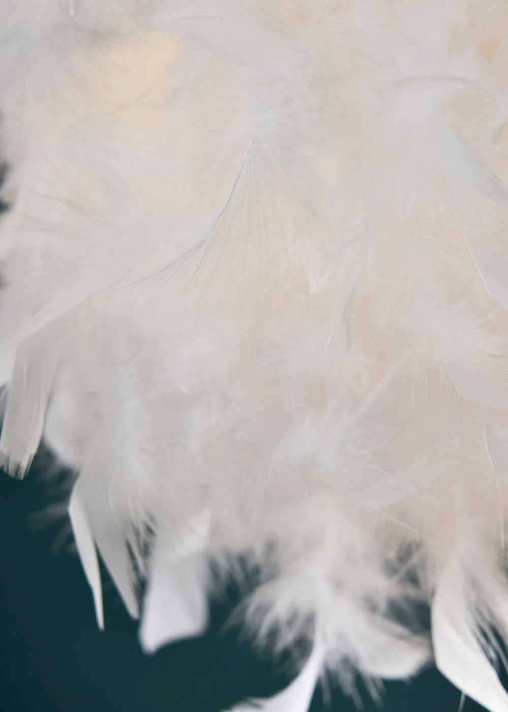 BHS White Plume Feather Ball Pendant Light (112cm x 40cm x 40cm) - One Size Image 3